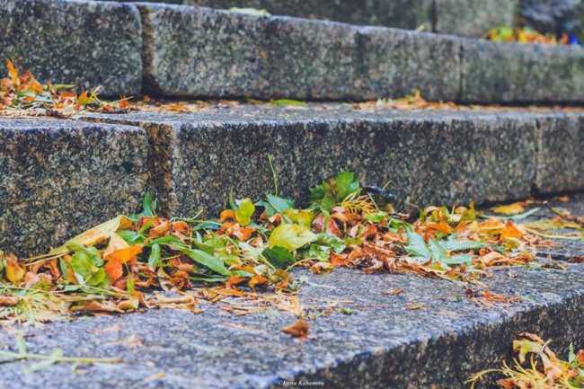 Пора шарфів та теплих розмов за кавою: осінь у Луцьку. ФОТО