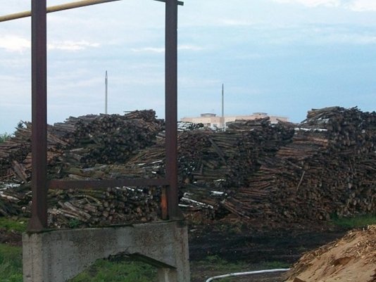 На Рівненщині горів деревообробний комбінат. ФОТО