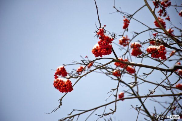 У Луцьк прийшла справжня зима. ФОТО