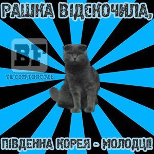 Фотожаби про матч Росія - Південна Корея