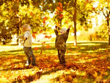 Очільниця управління освіти Луцькради повідомила, коли школярі підуть на канікули 