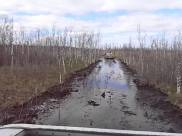 Діти в школу на Волині йдуть по коліна у болоті