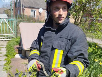 У місті на Волині вужі заповзли у будинки: викликали рятувальників