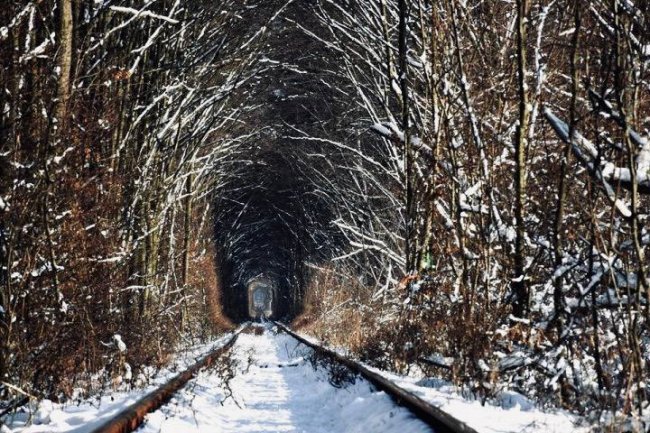 Куди поїхати поблизу Луцька взимку: 11 ідей для любителів подорожувати