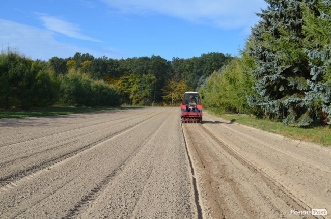 «Засіємо жолудем 16 гектарів»: волинські лісівники розпочали сіяти дуби. ФОТО