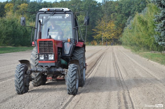 «Засіємо жолудем 16 гектарів»: волинські лісівники розпочали сіяти дуби. ФОТО