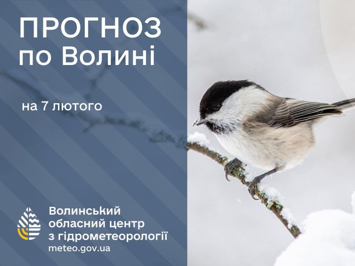 Погода у Луцьку та на Волині у суботу, 7 лютого