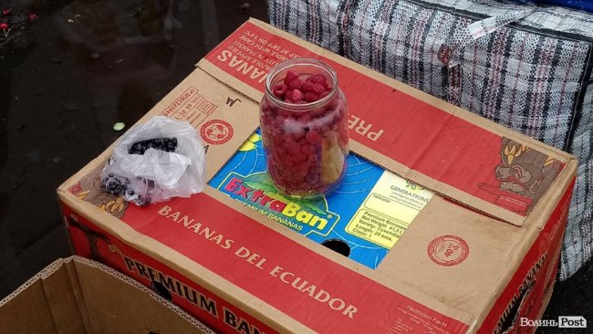 Від і до: скільки на луцькому ринку коштує малина