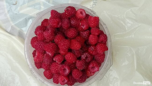 Від і до: скільки на луцькому ринку коштує малина