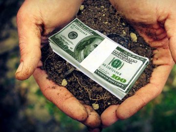 У Луцьку продали землю на Мамсурова