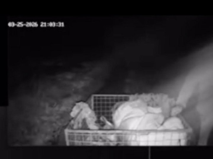 Влучив російський FPV-дрон: бійці бригади «Любарт» евакуювали поранену жінку із зони бойових дій