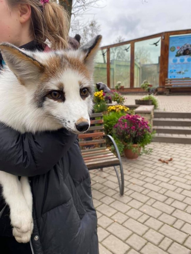 У луцькому зоопарку - поповнення. ФОТО