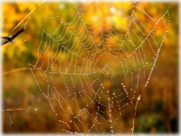Погода в Луцьку та Волинській області на п'ятницю, 13 вересня