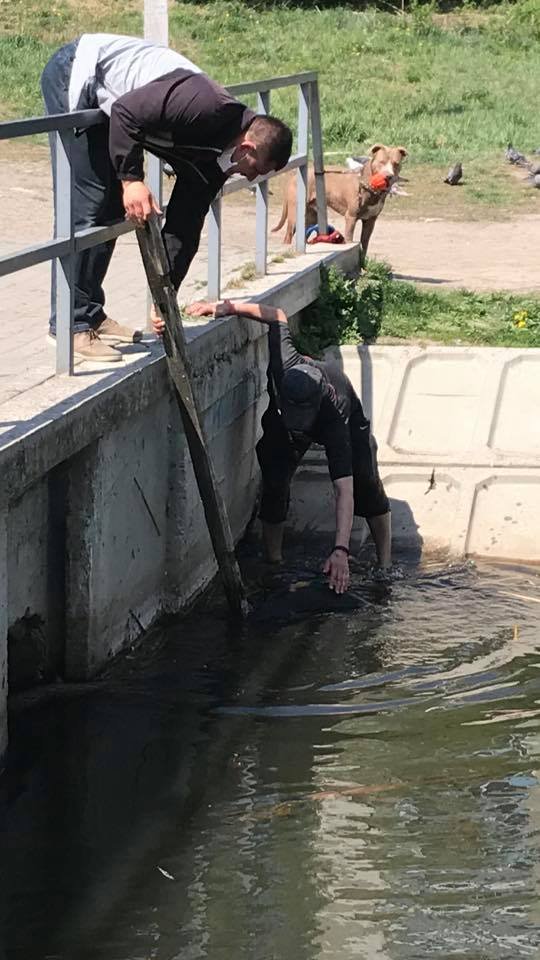 «Люди, схаменіться!»: у Луцьку чоловік власноруч розчищав Сапалаївку від купи сміття. ФОТО
