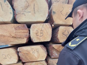 Через «Ягодин» намагались вивезти з України майже 13 кубометрів брусованого лісу