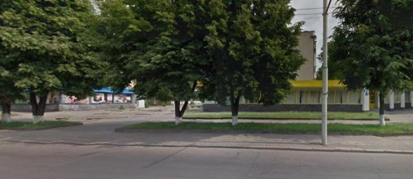 Занедбаний луцький сквер перетвориться на розарій