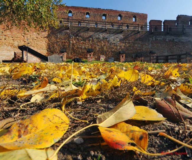 «Останнє золото Любарта»: фотограф показав красу Луцького замку