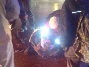Аварія в Луцьку: дівчина потрапила під колеса Geely на «зебрі»