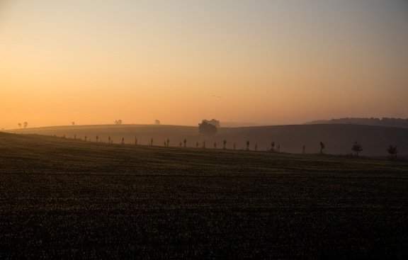 Шведський фотограф презентуватиме свої роботи у Луцьку