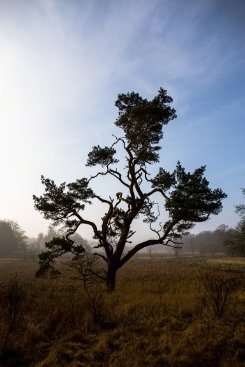 Шведський фотограф презентуватиме свої роботи у Луцьку