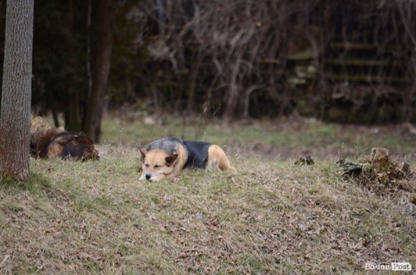 В Луцьку майже весна. ФОТО