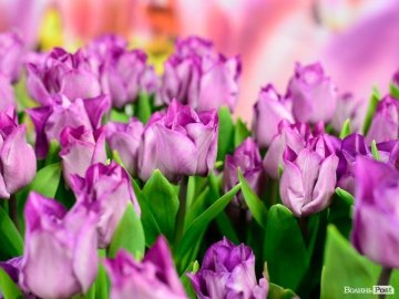 Куди піти у Луцьку на вихідних 8–9 травня. ПЕРЕЛІК ЗАХОДІВ