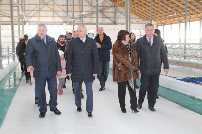 На Волині відкрили сучасний молочний комплекс. ФОТО