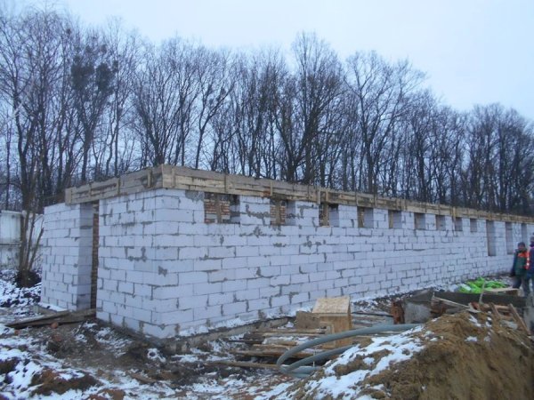 Директор луцької «Ласки» показала, як розбудовується притулок