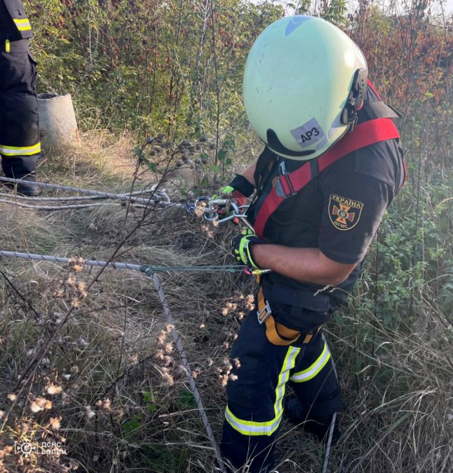 У Луцьку рятувальники визволили цуценят, які впали у 10-метровий колодязь