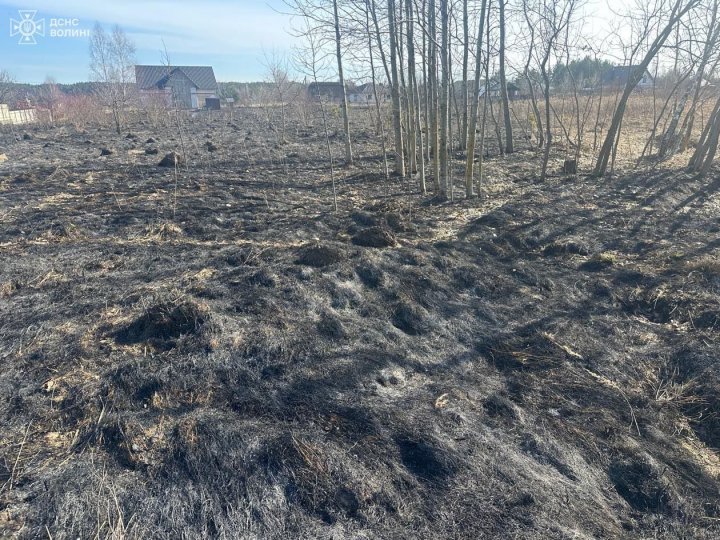 На Волині затримали палія сухої трави