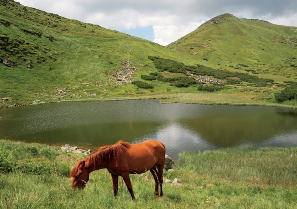 Втекти до природи. Топ-5 неповторних заповідників України. ФОТО