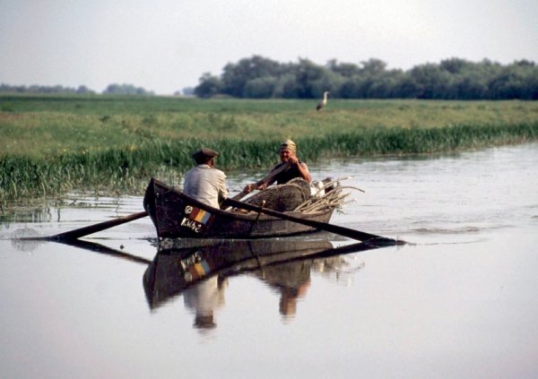 Втекти до природи. Топ-5 неповторних заповідників України. ФОТО