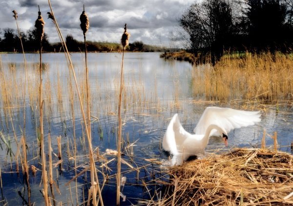 Втекти до природи. Топ-5 неповторних заповідників України. ФОТО