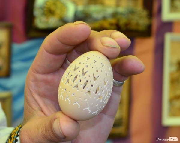 У центрі Луцька – виставка талантів зі всієї області. ФОТО 