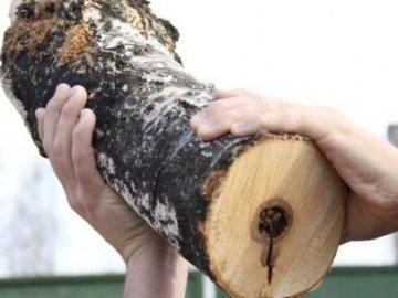 У Ковелі чоловіка вбили поліном