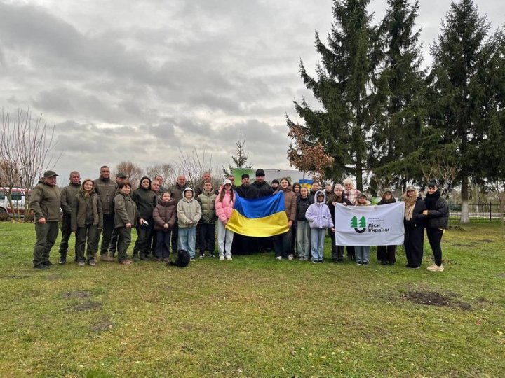 На Волині висадили символічне мільярдне дерево