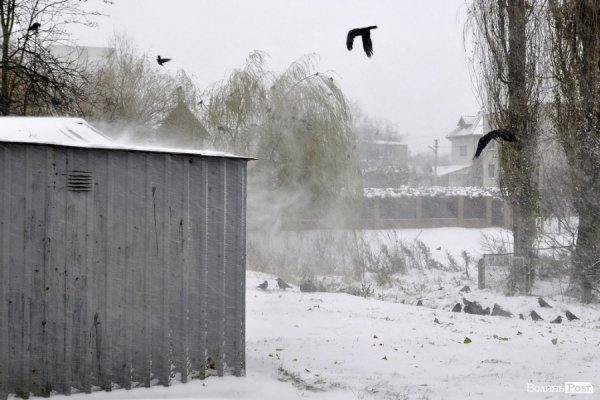Фото снігу в Луцьку