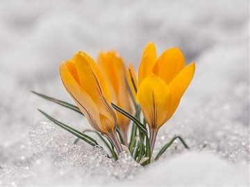 Погода в Луцьку та Волинській області на середу, 24 березня