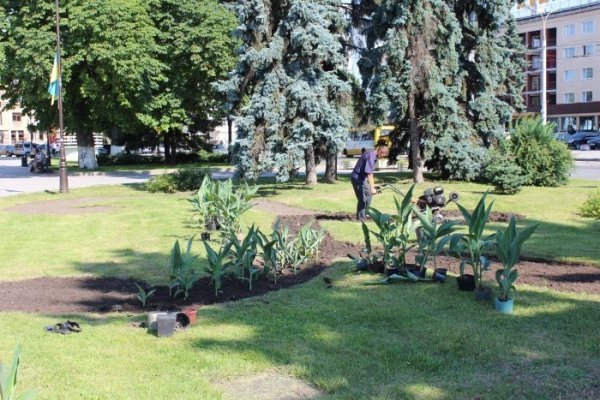 Луцьк засаджують квітами. ФОТО