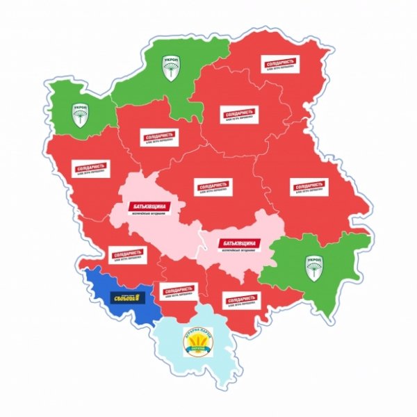 На Волині у більшості районів переміг БПП. ІНФОГРАФІКА