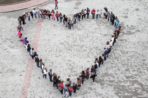У центрі Луцька – «живе серце». ФОТО