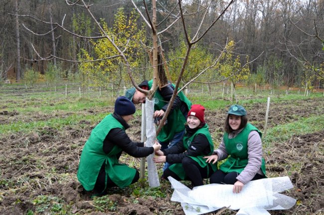 Майстер-класи, пізнавальні екскурсії  і розваги з Сантою: як на Волині діє Лісівничий молодіжний центр