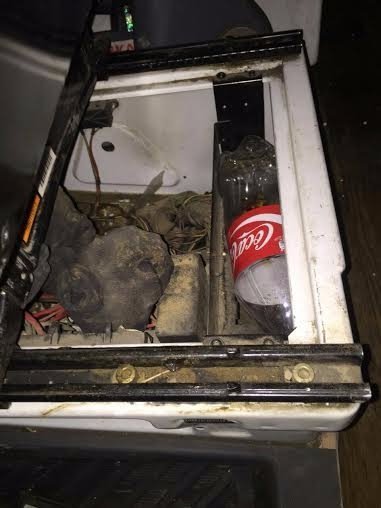 На Волині чергова спроба перевезти бурштин до Польщі. ФОТО 