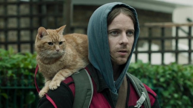 Не «Одним удома» єдиним: що подивитися під час новорічно-різдвяних свят