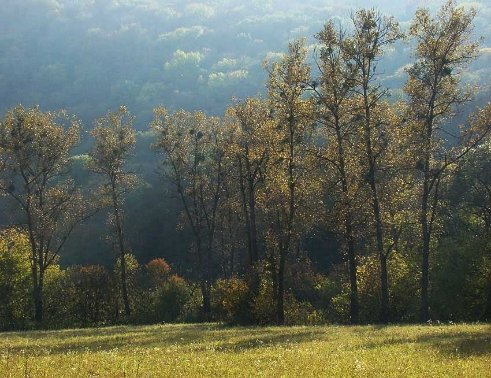 Фотовиставка Сергія Палька