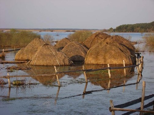 Розлив Прип'яті