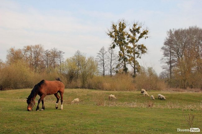 Мальовничі села в об'єктиві волинського фотографа. ФОТО