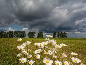 24 серпня – яке сьогодні свято і що не можна робити в цей день