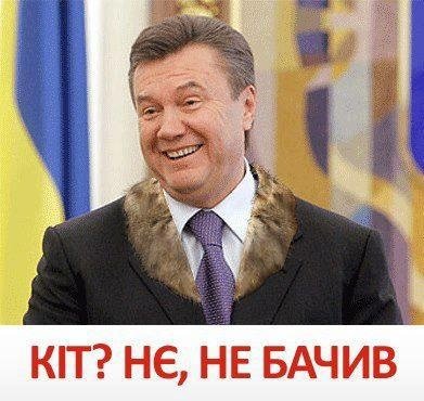 Бабуся і кіт: фотожабоманія триває. ФОТО