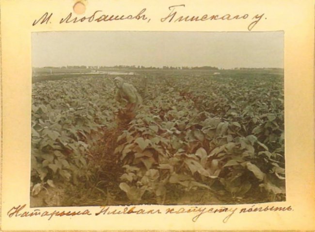 Якими були мешканці Любешева понад сто років тому. РЕТРОФОТО